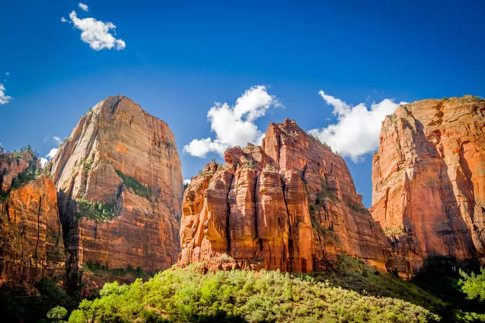 Zion National Park Travel Guide: Best Hikes, Scenic Drive, Fees & Tips (2025)
